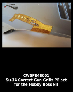 Sukhoi Su-34 Gun Grills set