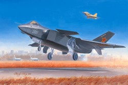 Chinese J-20 Fighter 