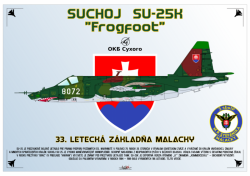Suchoj Su-25K Frogfoot
