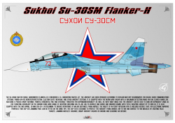 Sukhoi SU-30SM VKS
