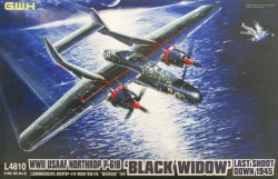 Northrop P-61B Black Widow Last Shoot Down 1945