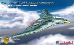 WWII LUFTWAFFE Secret Project Focke-Wulf 0310239-10 Fast Bomber