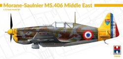 Morane-Saulnier MS-406 Middle East