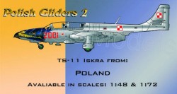 Polish Gliders 2