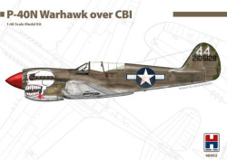 Curtiss P-40N Warhawk over CBI