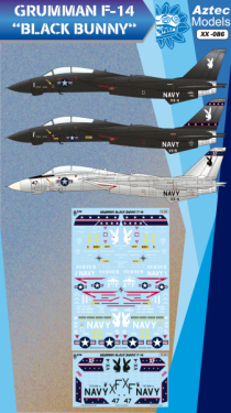  F-14 Tomcat "Black Bunny" & "Gray Bunny" / USAF decoration "Black Bunn