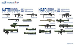 NATO Individual Weapon Set B(A kit incl.2pcs of each weapon