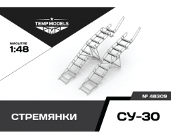 Ladder For Su-30