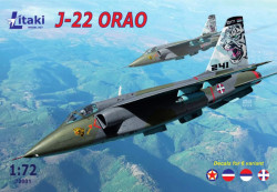 J-22 ORAO single-seat attack aircraft variant