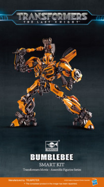 Transformers Series: TF-5 Bumblebee