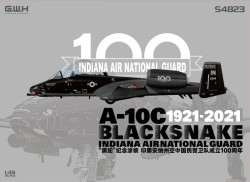 A-10C Blacksnake Indiana Air Nat. Guard 1921-2021