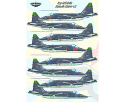 SU-25SM NEW "GRACH" PART 2