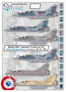 Mirage 2000 "standard" (Blue Mirage : B/C/-5F) Armée de l'Air