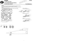 F-5E EXPERT kabuki masks