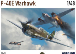 P-40E Warhawk Weekend