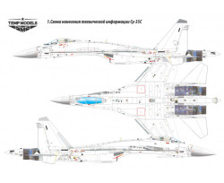 TECHNICAL INSCRIPTION DECAL FOR SU-35S