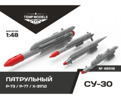 Set of weapons "PATROL": R-73, R-77, X-31PD