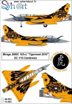 Mirage 2000C 103-LI Tigermeet 2010