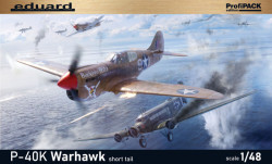 P-40K short tail