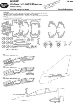 SEPECAT Jaguar T.2/T.2A/T.4 ADVANCED kabuki masks