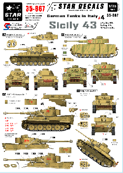 German Tanks in Italy #4