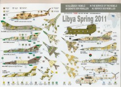 Lybia Spring 2011